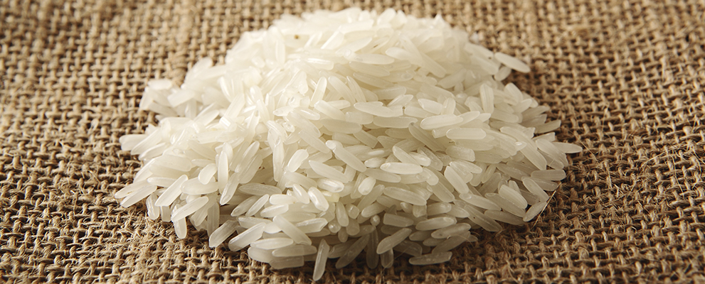 arroz blanco pulido brasileño exportación